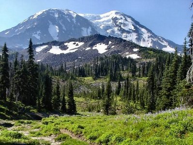 Mt. Adams Wilderness Area