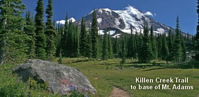 Link to Hike in the Gifford Pinchot National Forest