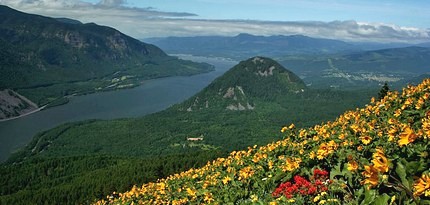 Looking west toward Wind Mountain from the summit of Dog Mountain in spring