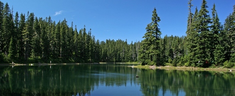 Bear Lake in the Indian Heaven Wilderness