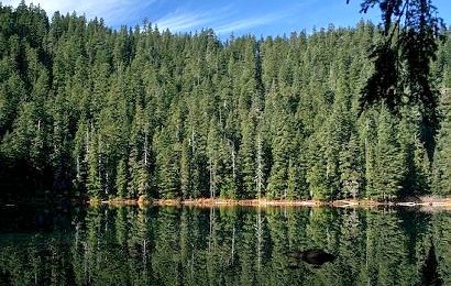 Buck Lake