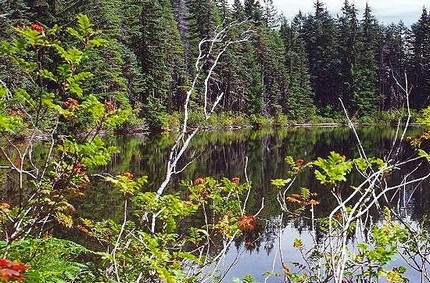 Dublin Lake