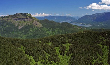 Looking east toward Table Mountain from Hardy Ridge