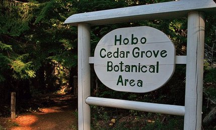 The entrance to the Hobo Cedar Grove Botanical Area