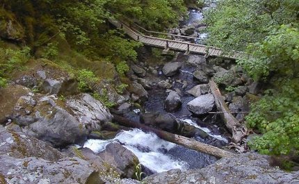 Looking down at the bridge below Rodney Falls