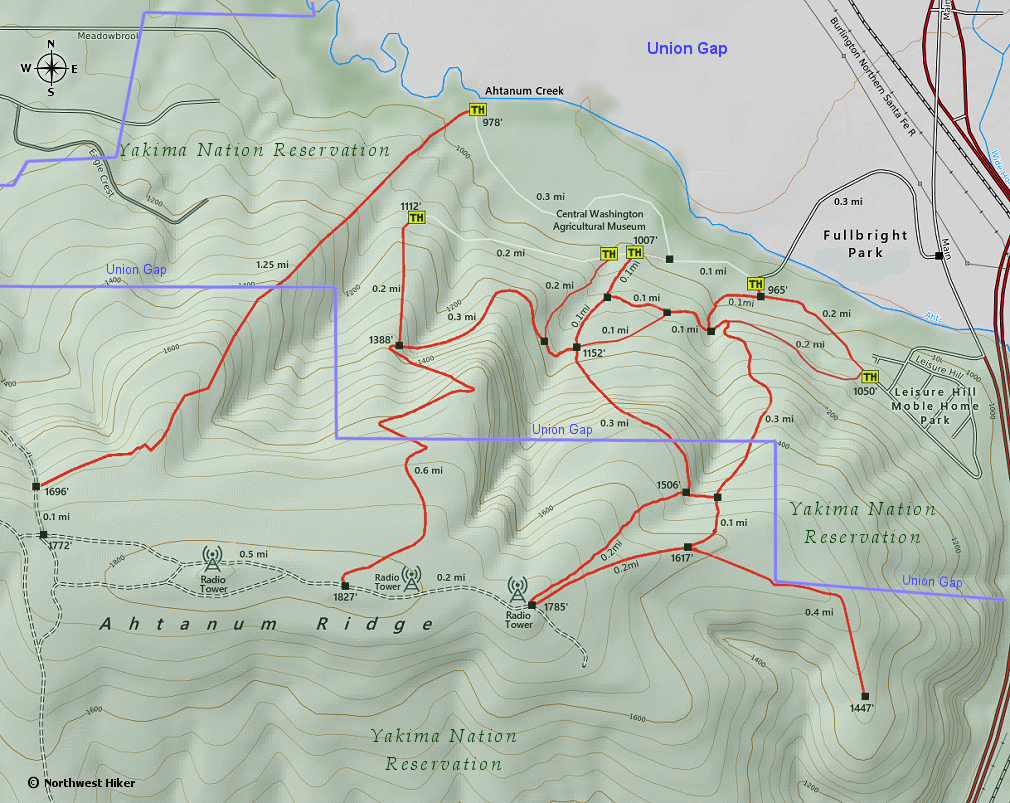 Ahtanum Ridge Hikes