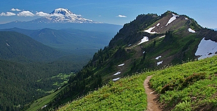 Mt Adams as seen from Goat Ridge in the Goat Rocks Wilderness