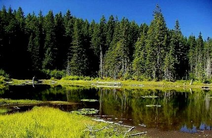 Mud Lake