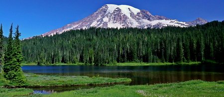 Mt. Rainier from the Reflection Lakes