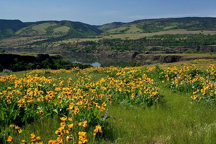 Rowena Plateau