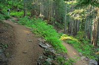 Switchbacks