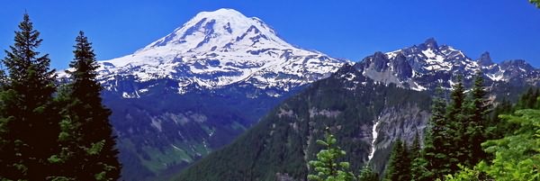 Mt. Rainier from the Shriner Peak trail